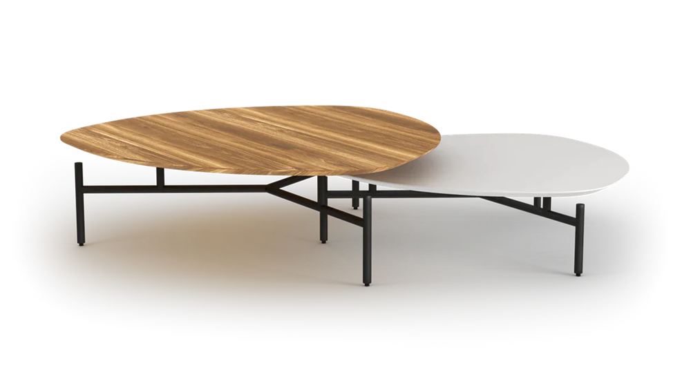 Nest Coffee Table Set of 2
