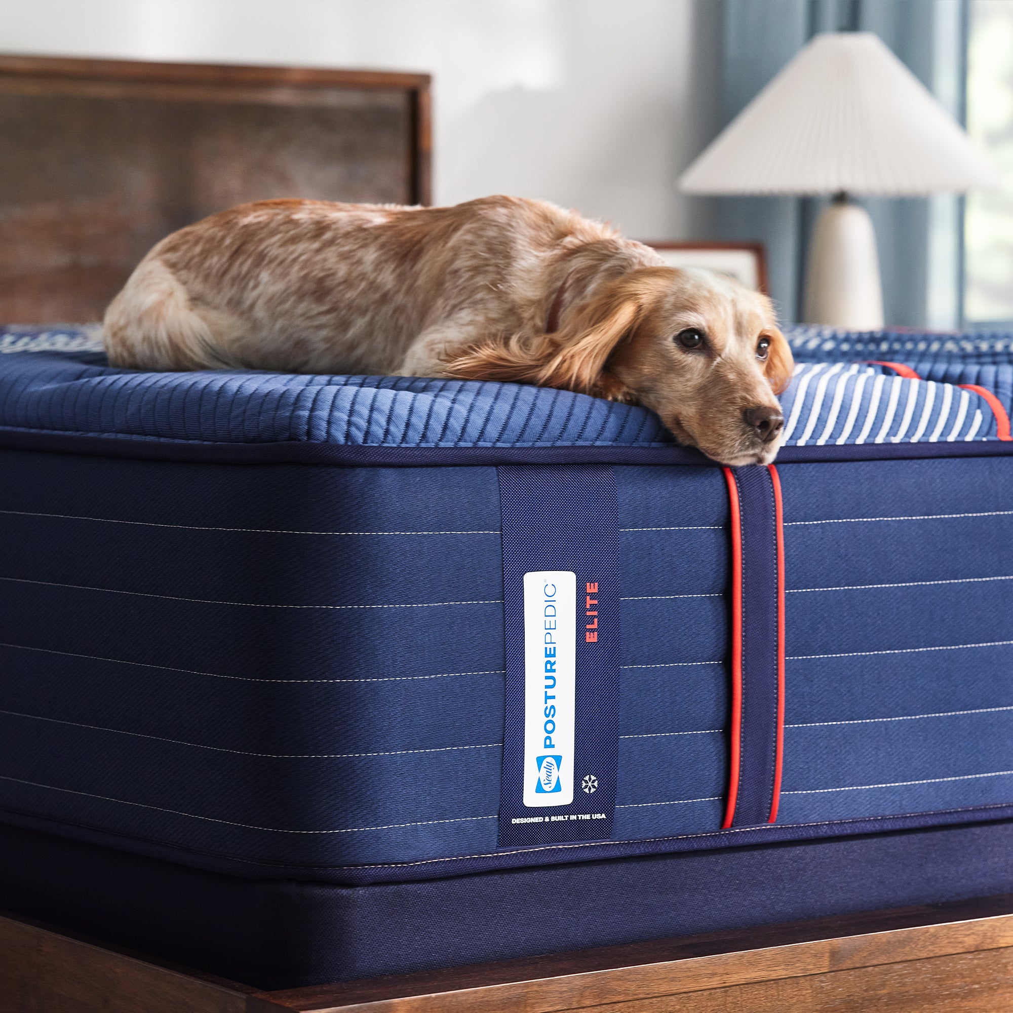 Sealy Posturepedic Albany II Mattress