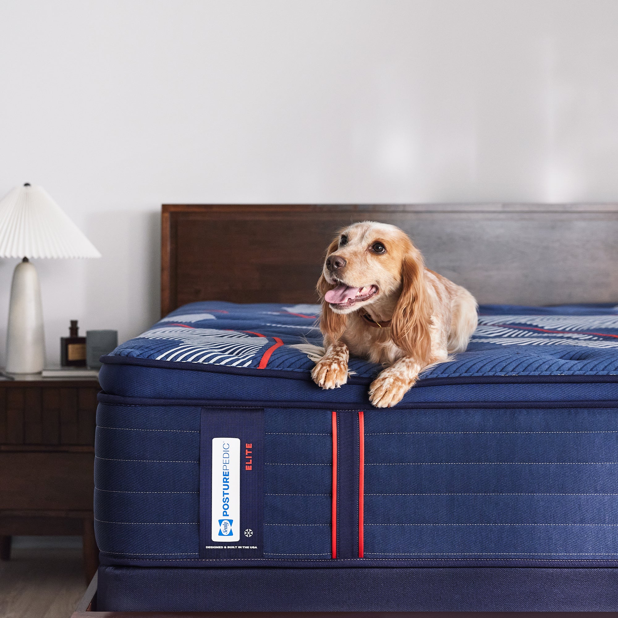 Sealy Posturepedic Albany II Europe Pillow Top Mattress