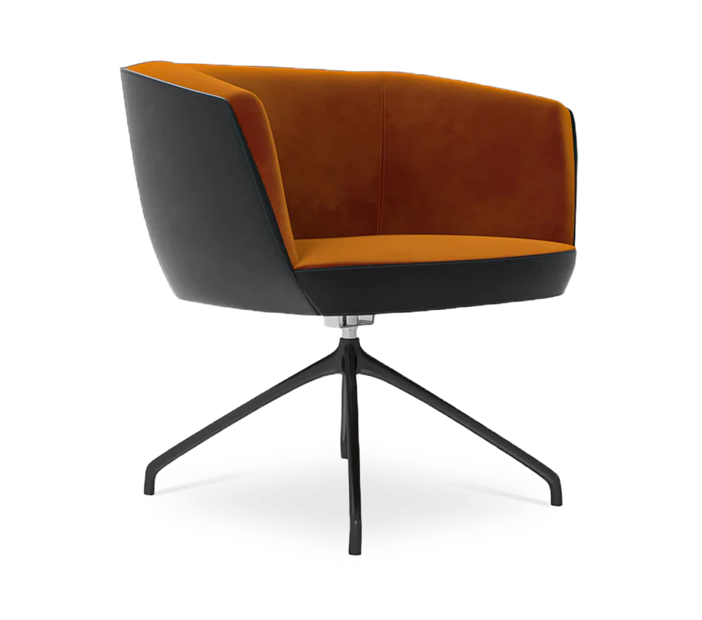 Vela Dining Chair