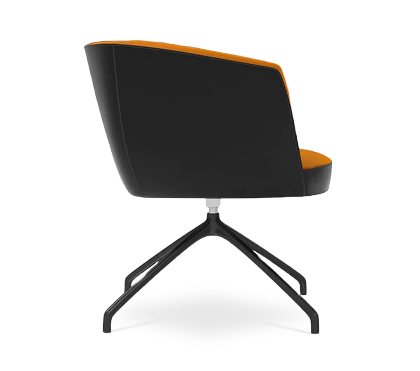 Vela Dining Chair