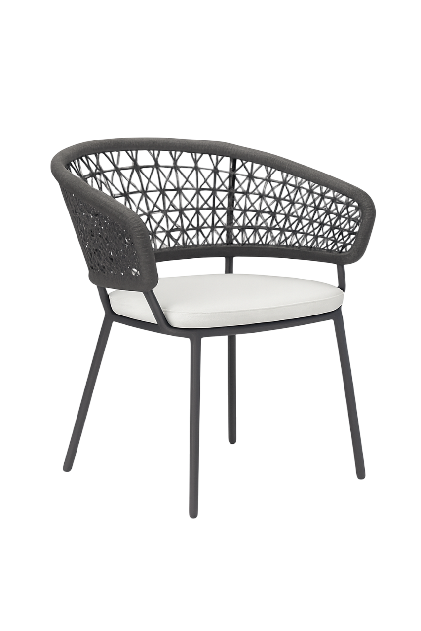 HP Owen Dining Chair