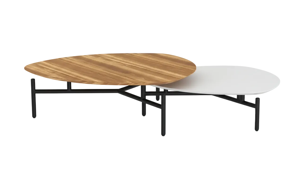 Nest Coffee Table Set of 2